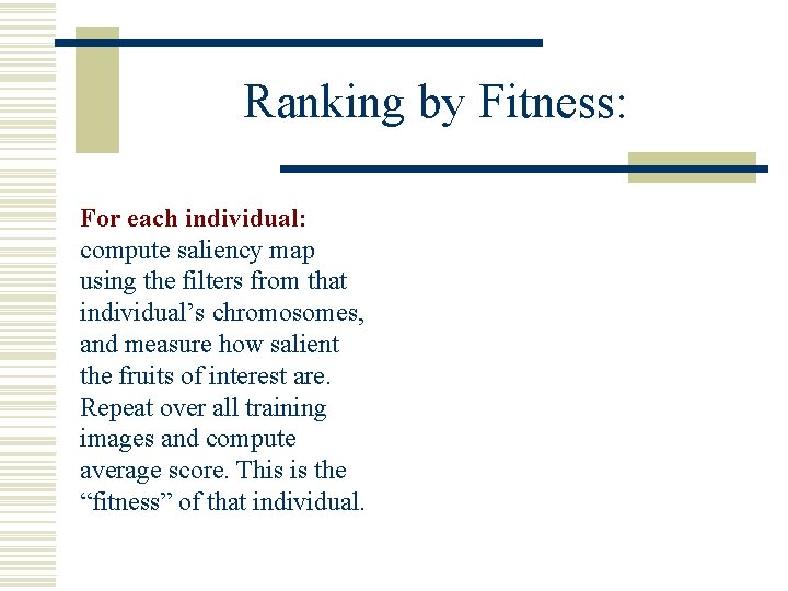 Ranking by Fitness: For each individual: compute saliency map using the filters from that