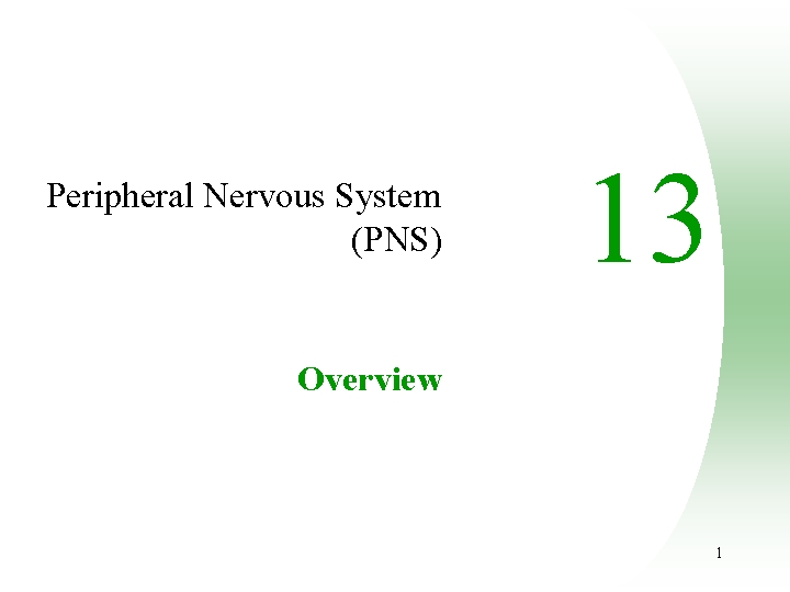 Peripheral Nervous System (PNS) 13 Overview 1 