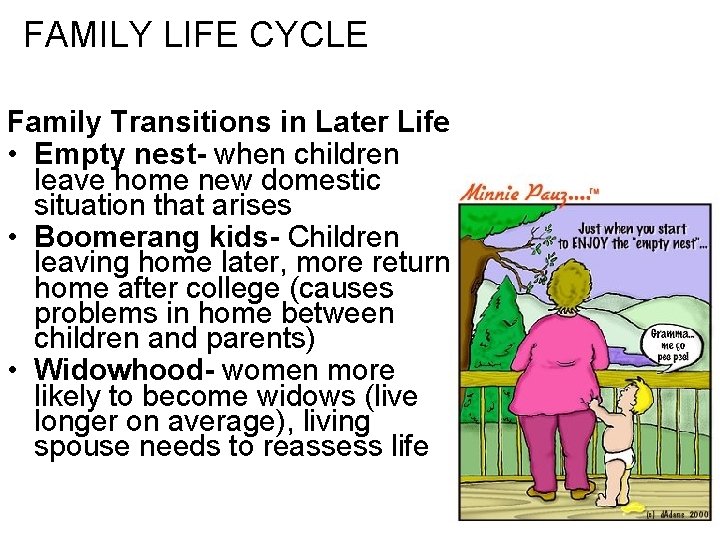 FAMILY LIFE CYCLE Family Transitions in Later Life • Empty nest- when children leave