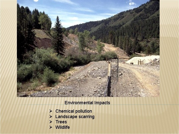 Environmental Impacts Ø Ø Chemical pollution Landscape scarring Trees Wildlife 