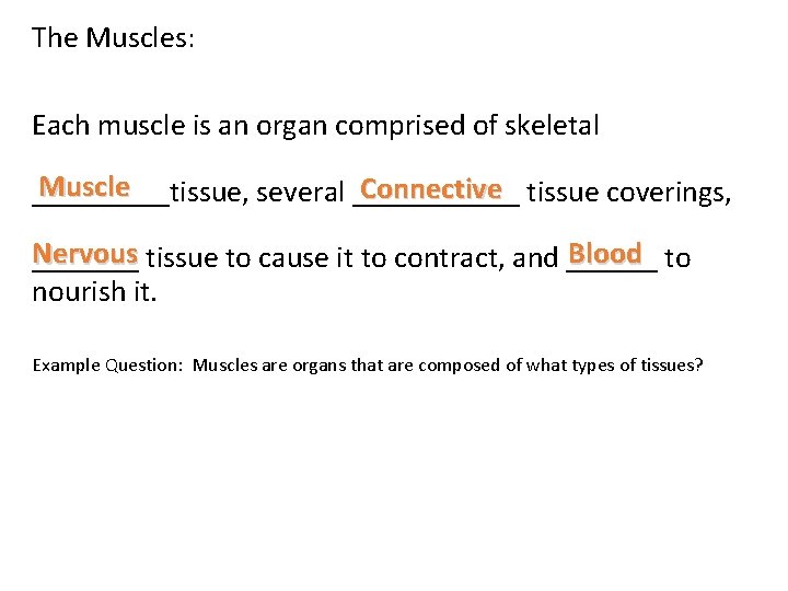 The Muscles: Each muscle is an organ comprised of skeletal Muscle Connective tissue coverings,