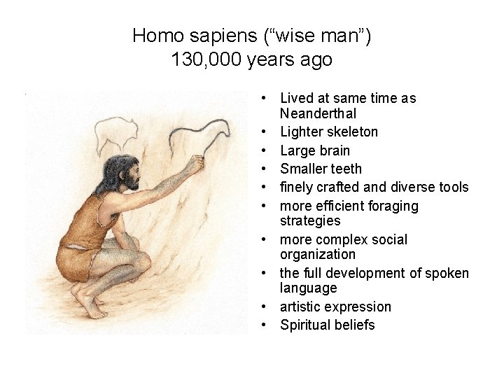Homo sapiens (“wise man”) 130, 000 years ago • Lived at same time as