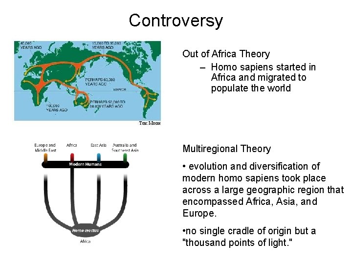 Controversy Out of Africa Theory – Homo sapiens started in Africa and migrated to
