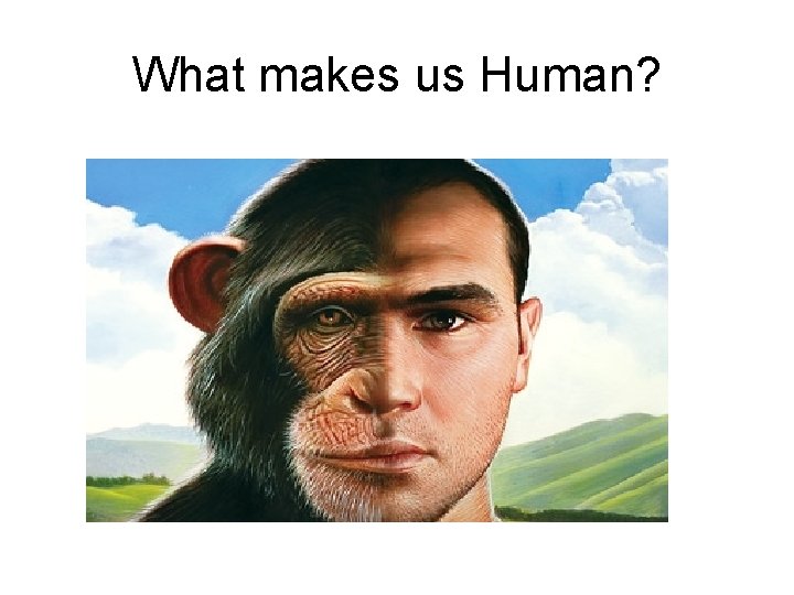 What makes us Human? 