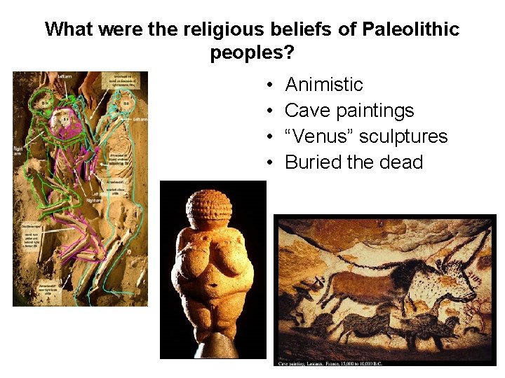 What were the religious beliefs of Paleolithic peoples? • • Animistic Cave paintings “Venus”