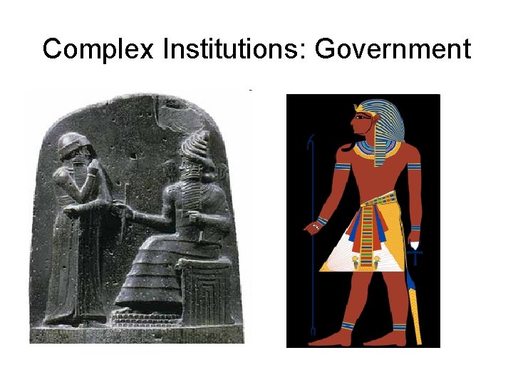 Complex Institutions: Government 