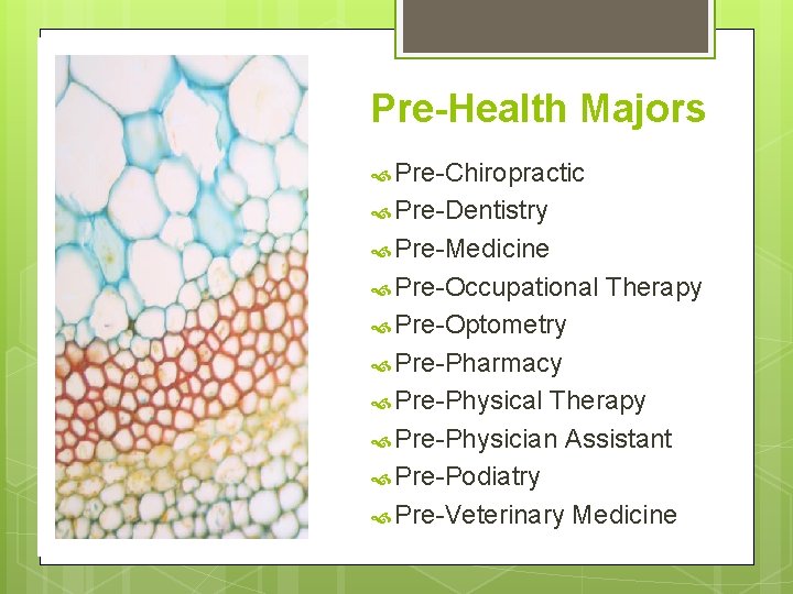 Pre-Health Majors Pre-Chiropractic Pre-Dentistry Pre-Medicine Pre-Occupational Therapy Pre-Optometry Pre-Pharmacy Pre-Physical Therapy Pre-Physician Assistant Pre-Podiatry