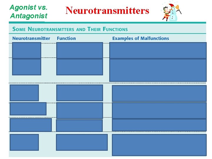 Agonist vs. Antagonist Neurotransmitters 