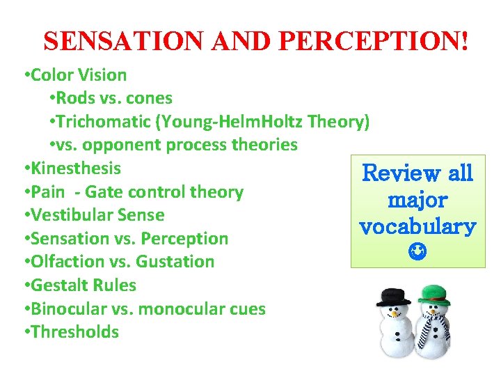 SENSATION AND PERCEPTION! • Color Vision • Rods vs. cones • Trichomatic (Young-Helm. Holtz