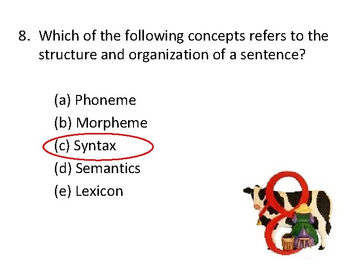 8. Which of the following concepts refers to the structure and organization of a