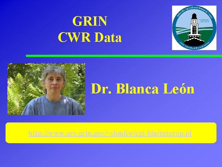 GRIN CWR Data Dr. Blanca León http: //www. ars-grin. gov/~sbmljw/cgi-bin/taxcrop. pl 