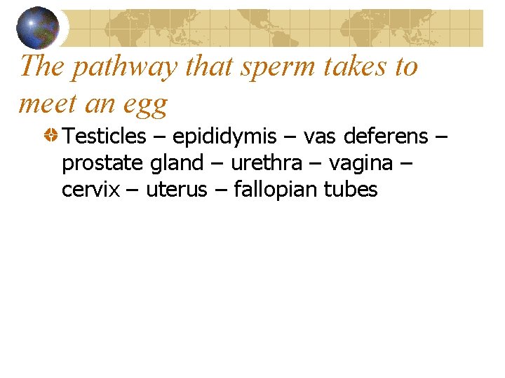 The pathway that sperm takes to meet an egg Testicles – epididymis – vas