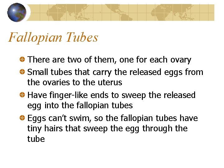 Fallopian Tubes There are two of them, one for each ovary Small tubes that