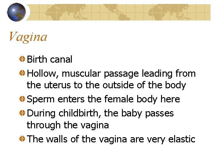 Vagina Birth canal Hollow, muscular passage leading from the uterus to the outside of