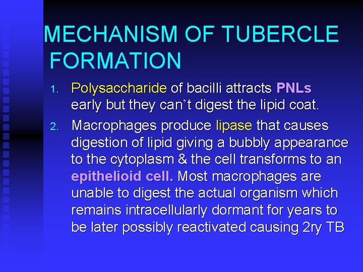 MECHANISM OF TUBERCLE FORMATION 1. 2. Polysaccharide of bacilli attracts PNLs early but they