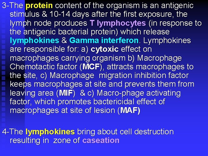3 -The protein content of the organism is an antigenic stimulus & 10 -14