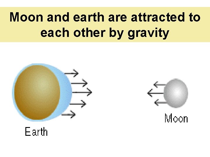 Moon and earth are attracted to each other by gravity 
