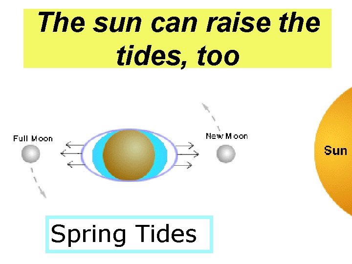 The sun can raise the tides, too Spring Tides 