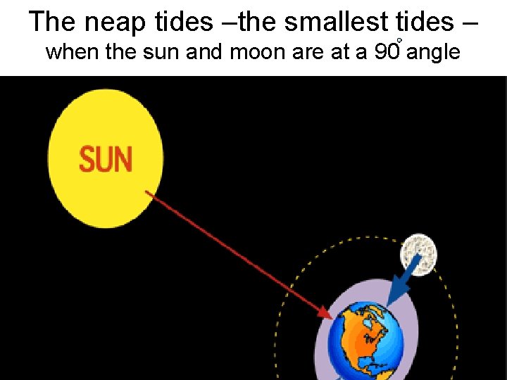 The neap tides –the smallest tides – when the sun and moon are at