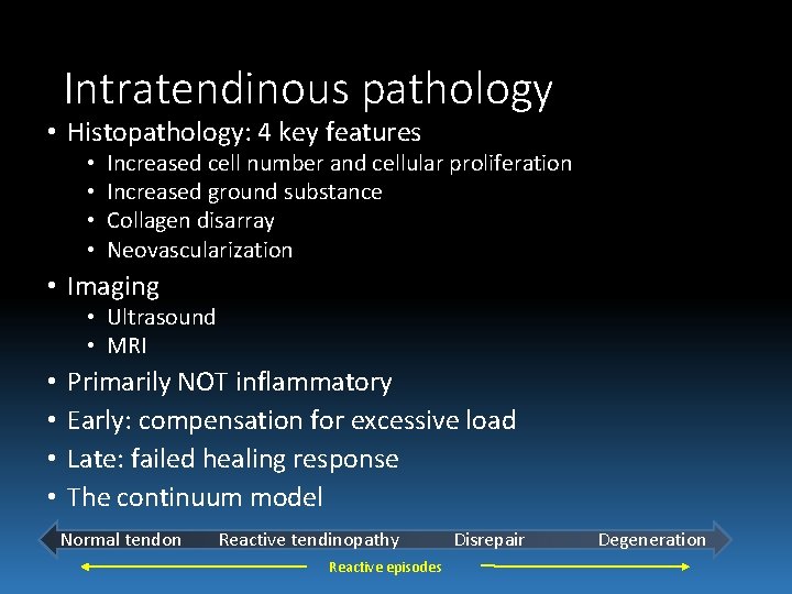 Intratendinous pathology • Histopathology: 4 key features • • Increased cell number and cellular