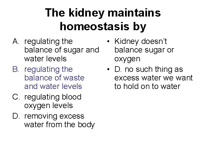 The kidney maintains homeostasis by A. regulating the • Kidney doesn’t balance of sugar