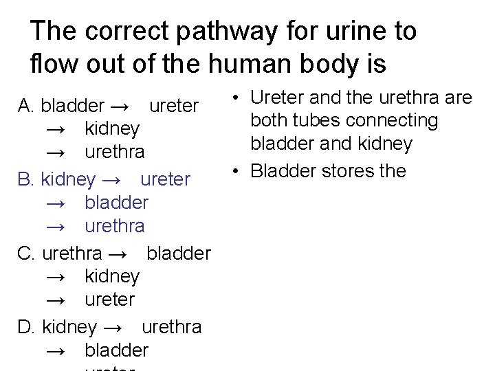 The correct pathway for urine to flow out of the human body is A.