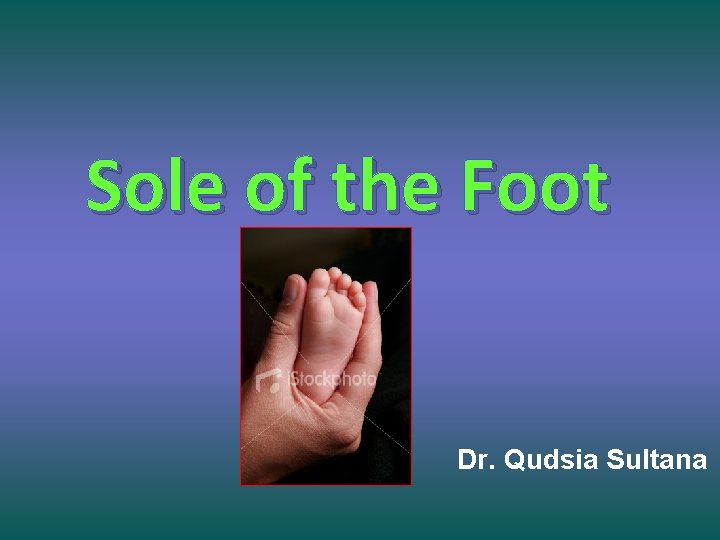 Sole of the Foot Dr. Qudsia Sultana 