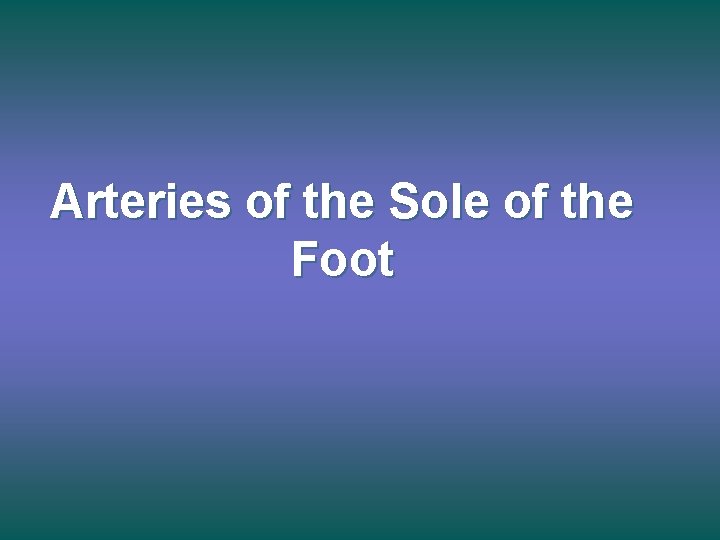 Arteries of the Sole of the Foot 