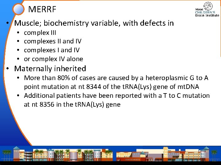 MERRF • Muscle; biochemistry variable, with defects in • • complex III complexes II