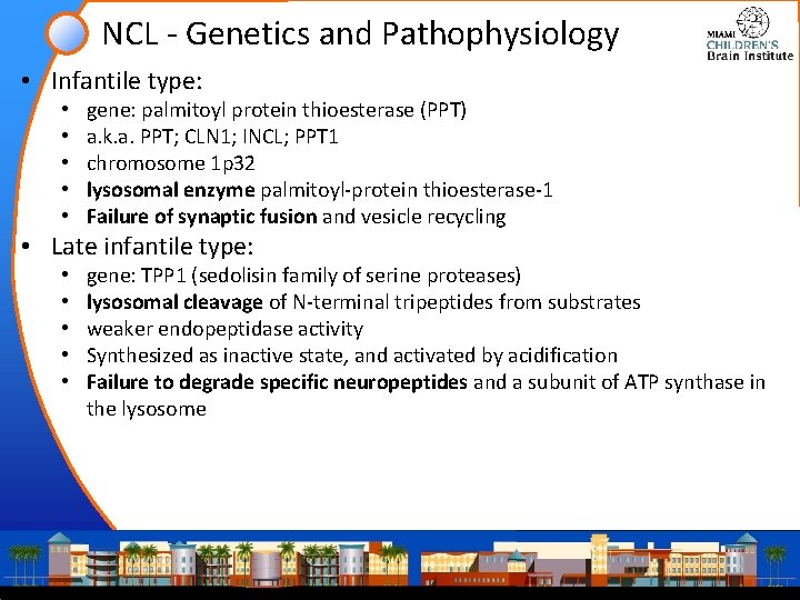 NCL - Genetics and Pathophysiology • Infantile type: • • • gene: palmitoyl protein NCL - Genetics and Pathophysiology • Infantile type: • • • gene: palmitoyl protein