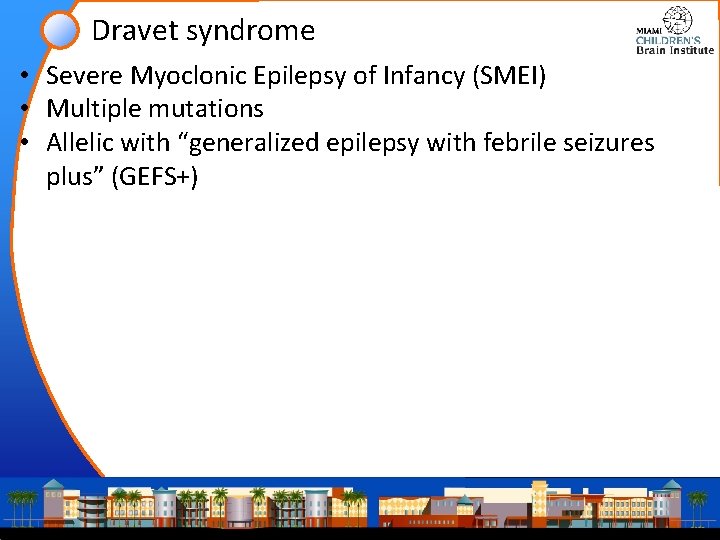 Dravet syndrome • Severe Myoclonic Epilepsy of Infancy (SMEI) • Multiple mutations • Allelic