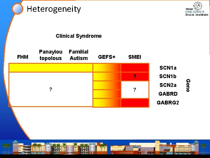 Heterogeneity Clinical Syndrome FHM Panayiou topolous Familial Autism GEFS+ SMEI SCN 1 a ?