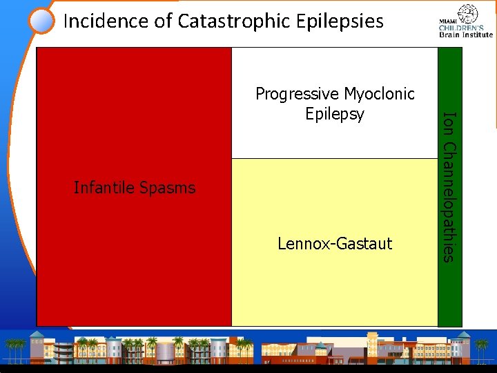 Incidence of Catastrophic Epilepsies Infantile Catastrophic Spasms Epilepsy in Childhood Lennox-Gastaut Ion Channelopathies Progressive