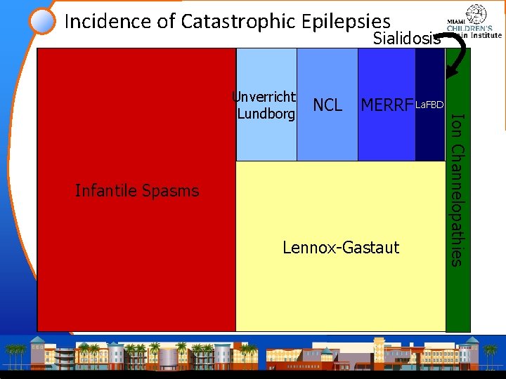 Incidence of Catastrophic Epilepsies Sialidosis Infantile Catastrophic Spasms Epilepsy in Childhood Lennox-Gastaut Ion Channelopathies