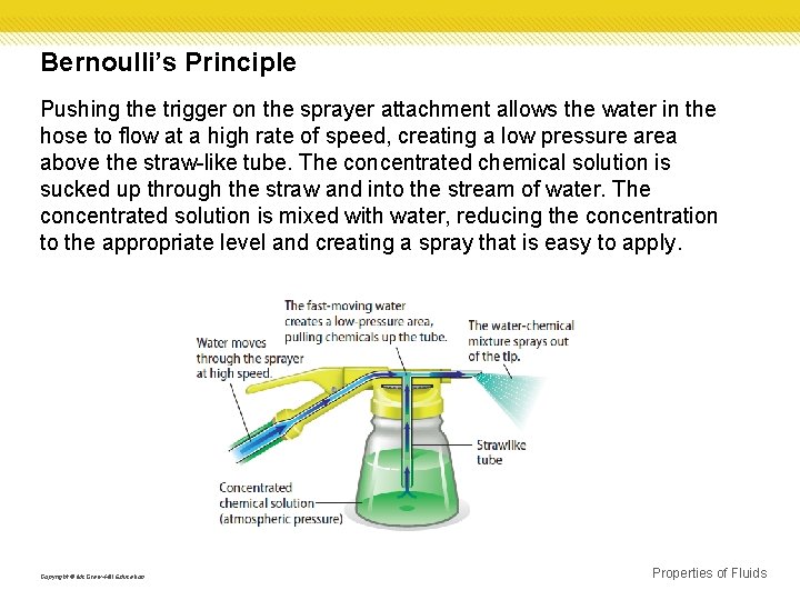 Bernoulli’s Principle Pushing the trigger on the sprayer attachment allows the water in the