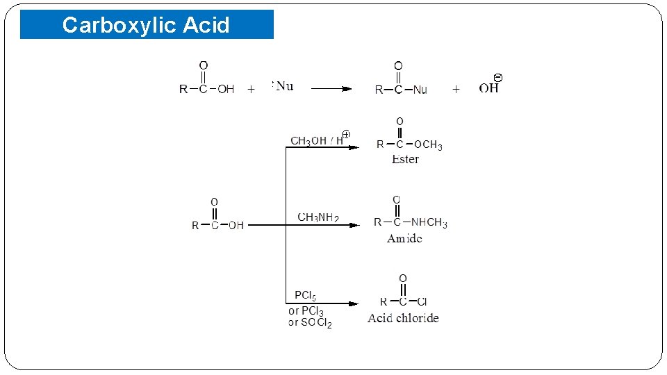 Carboxylic Acid Derivatives 