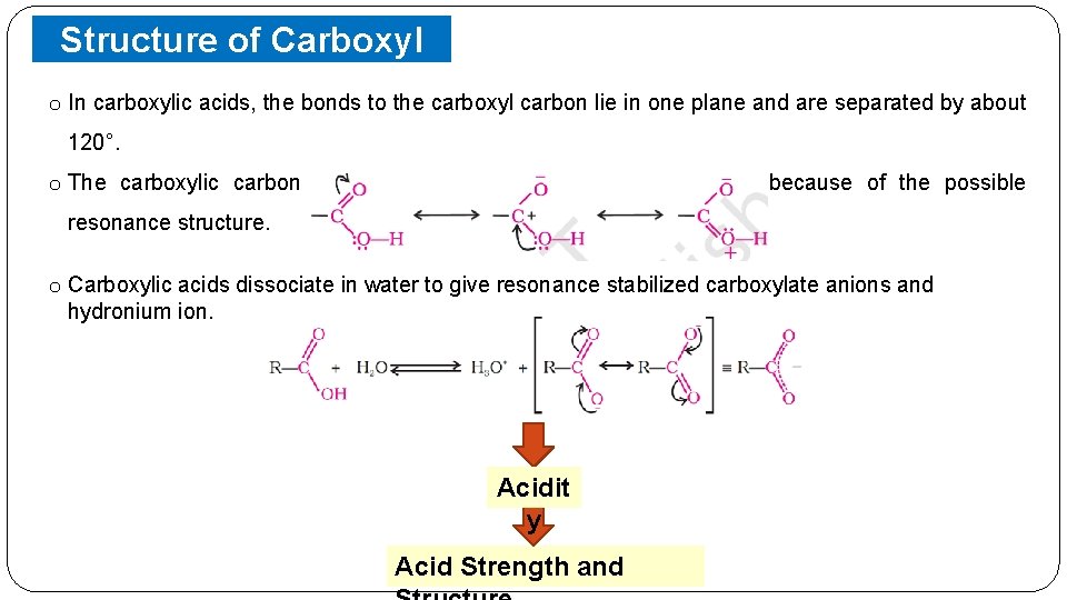 Structure of Carboxyl Group o In carboxylic acids, the bonds to the carboxyl carbon