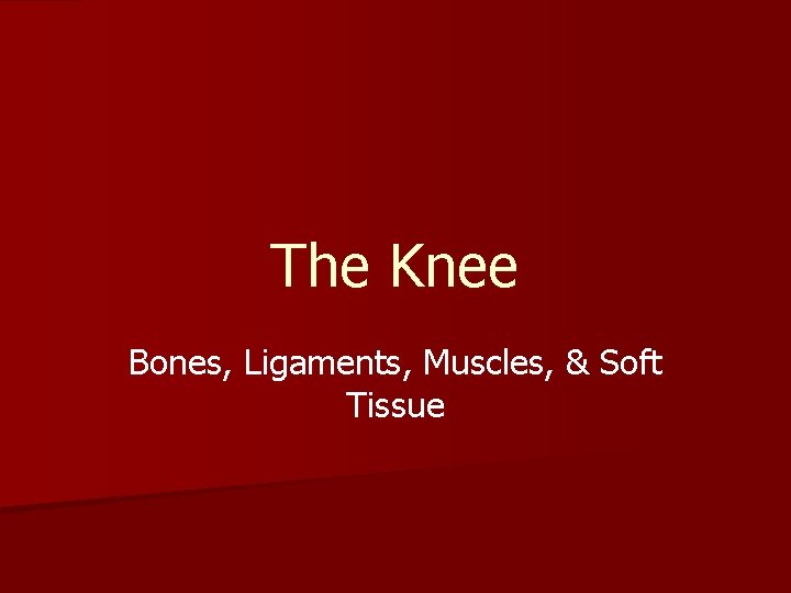 The Knee Bones, Ligaments, Muscles, & Soft Tissue 