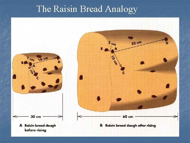 The Raisin Bread Analogy 