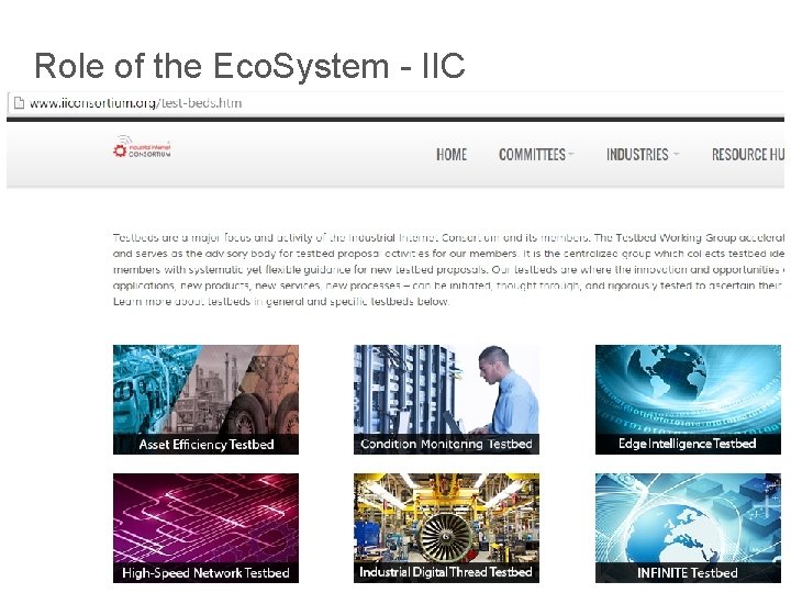 Role of the Eco. System - IIC 