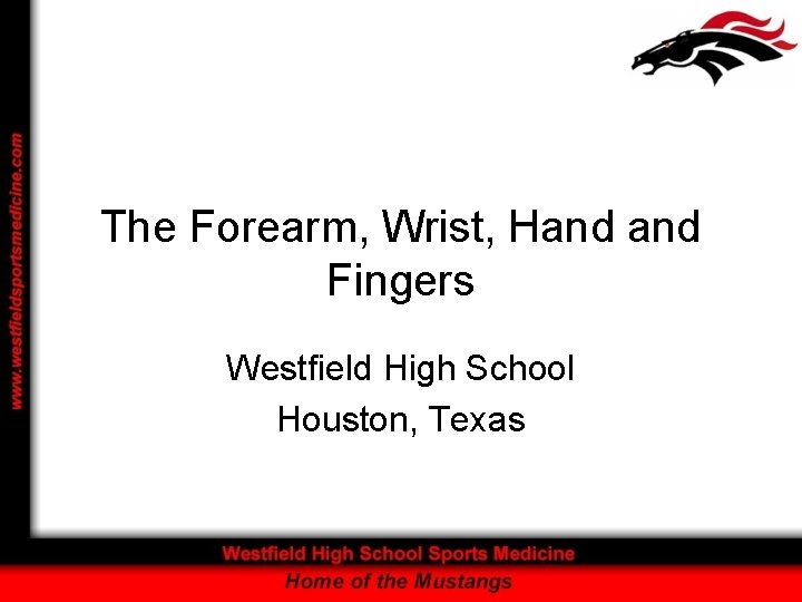 The Forearm, Wrist, Hand Fingers Westfield High School Houston, Texas 