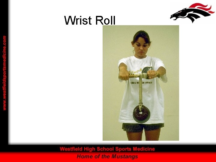 Wrist Roll 