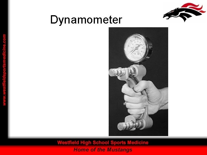 Dynamometer 