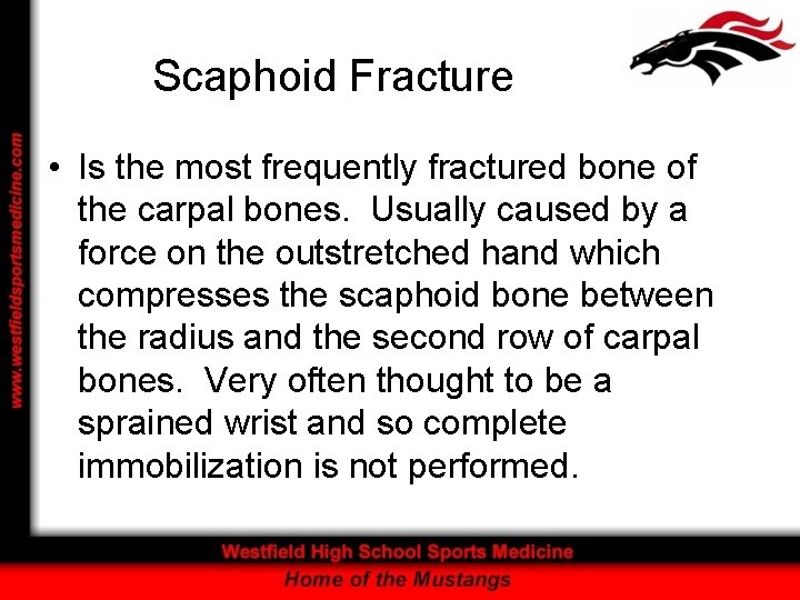 Scaphoid Fracture • Is the most frequently fractured bone of the carpal bones. Usually