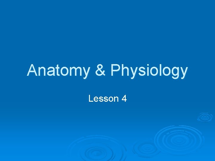 Anatomy & Physiology Lesson 4 