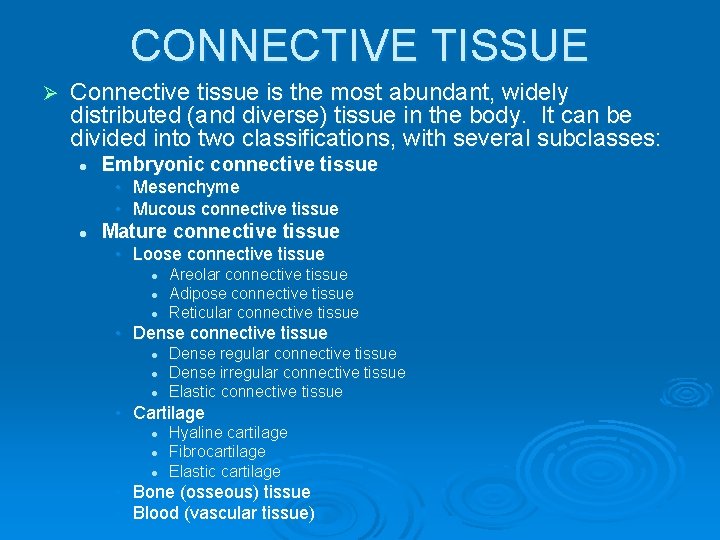 CONNECTIVE TISSUE Ø Connective tissue is the most abundant, widely distributed (and diverse) tissue