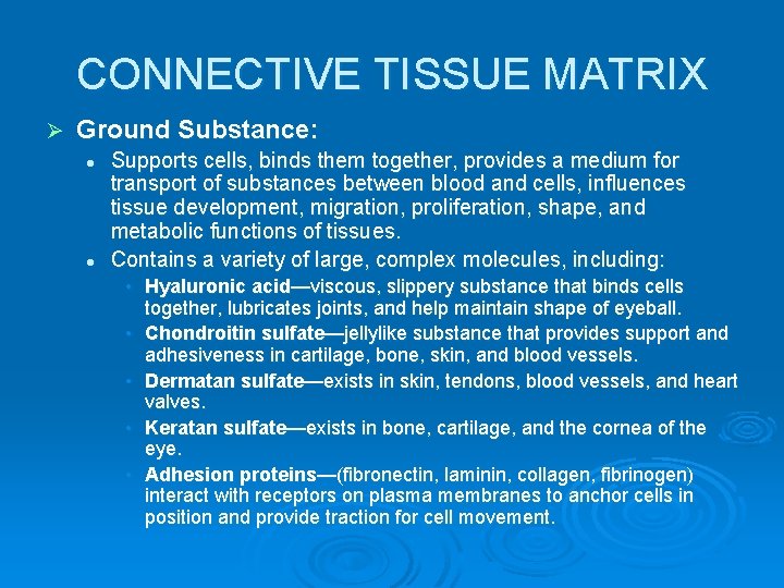 CONNECTIVE TISSUE MATRIX Ø Ground Substance: l l Supports cells, binds them together, provides