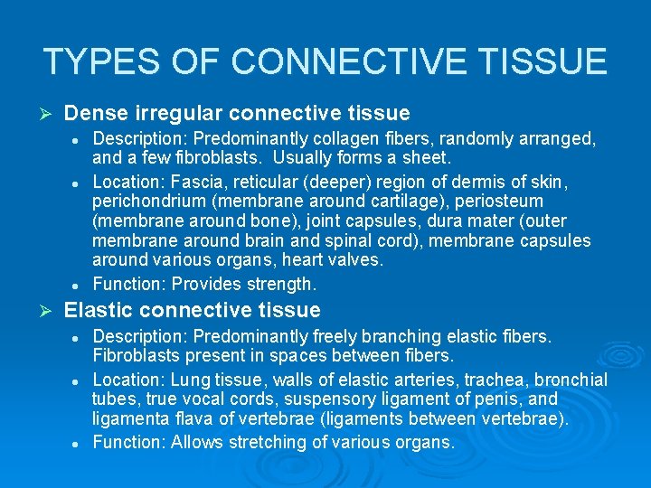 TYPES OF CONNECTIVE TISSUE Ø Dense irregular connective tissue l l l Ø Description: