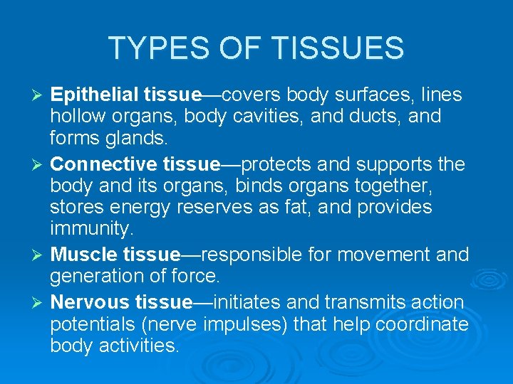 TYPES OF TISSUES Epithelial tissue—covers body surfaces, lines hollow organs, body cavities, and ducts,