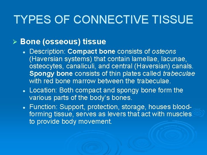 TYPES OF CONNECTIVE TISSUE Ø Bone (osseous) tissue l l l Description: Compact bone